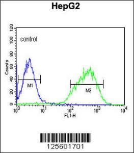 Anti-HIST1H2AL Rabbit Polyclonal Antibody