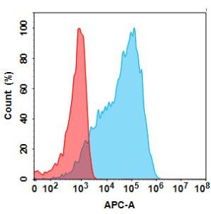 Anti-Mesothelin Humanized antibody