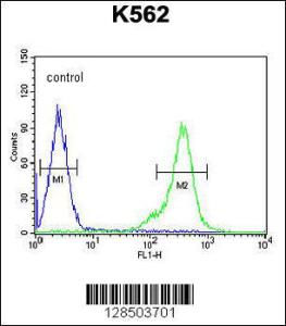 Anti-TEX13B Rabbit Polyclonal Antibody (FITC (Fluorescein Isothiocyanate))