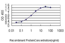 Anti-UBE2H Mouse Monoclonal Antibody [clone: 3C4-1A2]