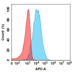 Anti-KLRG1 Recombinant Recombinant Antibody