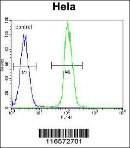 Anti-NTRK1 Rabbit Polyclonal Antibody (HRP (Horseradish Peroxidase))