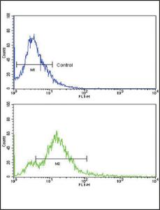 Anti-ACVR1B Rabbit Polyclonal Antibody (FITC (Fluorescein Isothiocyanate))