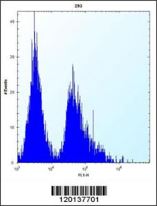 Anti-GSTT1 Rabbit Polyclonal Antibody (FITC (Fluorescein Isothiocyanate))