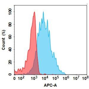 Flow cytometry analysis with Anti-CD45 Antibody [Apamistamab Biosimilar] - Azide free (A318818) at 15 µg/ml on Expi293 cells transfected with Human CD45 protein (blue histogram) or Expi293 transfected with irrelevant protein (red histogram)