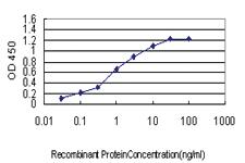 Anti-PTBP1 Mouse Monoclonal Antibody [clone: 3H8]