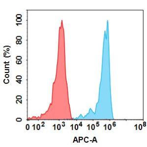 Flow cytometry analysis with Anti-ENPP3 / B10 Humanized Antibody [Xencor] - Azide free (A318823) at 1 µg/ml on Expi293 cells transfected with Human ENPP3 protein (blue histogram) or Expi293 transfected with irrelevant protein (red histogram)