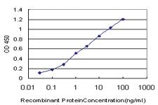 Anti-C1QBP Mouse Monoclonal Antibody [clone: 1F3]