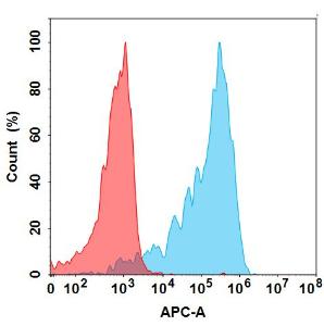 Flow cytometry analysis with Anti-GPVI Humanized Antibody [Glenzocimab Biosimilar] - Azide free (A318824) at 1 µg/ml on Expi293 cells transfected with Human GP6 protein (blue histogram) or Expi293 transfected with irrelevant protein (red histogram)