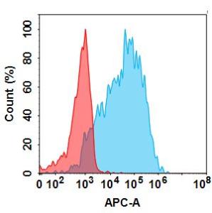 Anti-htrA1 Humanized antibody