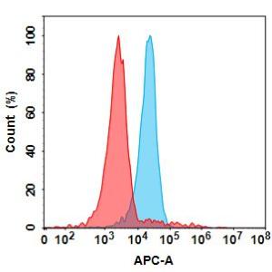 MASP2 protein is highly expressed on the surface of Jurkat cell membrane. Flow cytometry analysis with 15 µg/ml Anti-MASP2 Antibody [Narsoplimab Biosimilar] - Azide free (A318830) (blue histogram) or isotype control (red histogram) on Jurkat cells