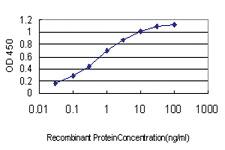 Anti-EPHA3 Mouse Monoclonal Antibody [clone: 3A12]