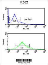 Anti-HIST3H3 Rabbit Polyclonal Antibody (AP (Alkaline Phosphatase))