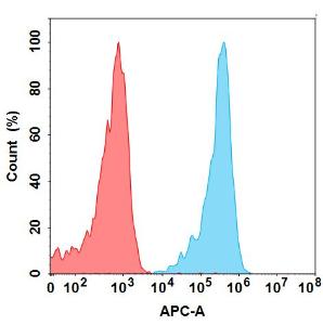 Anti-KIR2DL2 antibody