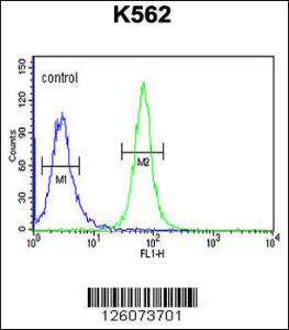 Anti-GTD2A Rabbit Polyclonal Antibody (APC (Allophycocyanin))