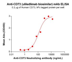 Anti-CD73 Humanized antibody