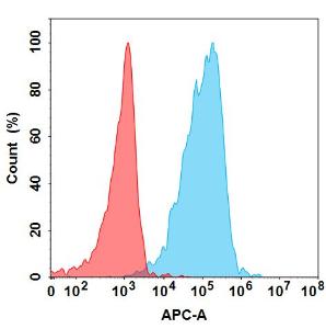 Anti-CD73 Humanized antibody