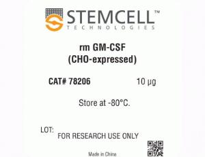 Mouse recombinant GM-CSF (CHO-expressed)