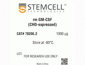 Mouse recombinant GM-CSF (CHO-expressed)