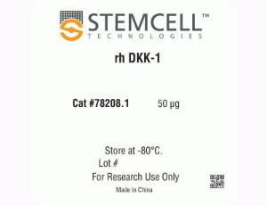 Human recombinant DKK-1