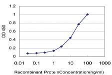 Anti-PTEN Mouse Monoclonal Antibody [clone: 2G9]