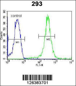 Anti-UBAC2 Rabbit Polyclonal Antibody (AP (Alkaline Phosphatase))