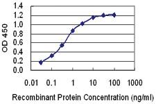 Anti-JSRP1 Mouse Monoclonal Antibody [clone: 6A9]