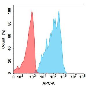 Anti-CCR8 Recombinant Recombinant Antibody [clone: BMS 986340]