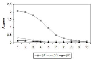 Anti-T Monoclonal Antibody [clone: 18F6]