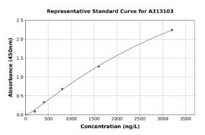 Representative standard curve for Human LEPREL1 ELISA kit (A313103)