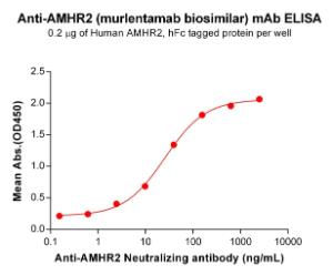 Anti-AMHR2 Humanized antibody