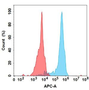 Flow cytometry analysis under cell membrane permeable condition with Anti-CTGF Antibody [Pamrevlumab Biosimilar] - Azide free (A318860) at 1 µg/ml on Expi293 cells transfected with Human CCN2 protein (blue histogram) or Expi293 transfected with irrelevant protein (red histogram)