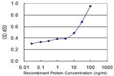 Anti-ARH1 Mouse Monoclonal Antibody [clone: 1F11]