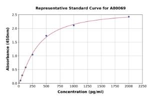 Representative standard curve for Rat ARMET/ARP ELISA kit (A80069)