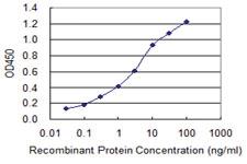 Anti-PARP1 Mouse Monoclonal Antibody [clone: 2C7]