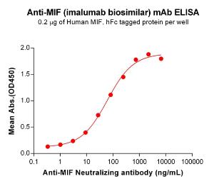 Anti-MIF Human Recombinant Antibody