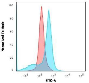 Flow cytometric analysis of U87MG cells using Anti-CD73 Antibody [NT5E/2545] followed by Goat Anti-Mouse IgG (CF&#174; 488) (Blue). Isotype Control (Red).