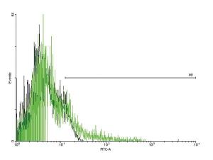 Anti-ADRB2 Mouse Polyclonal Antibody