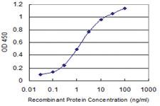 Anti-DAZAP1 Mouse Monoclonal Antibody [clone: 2F6]