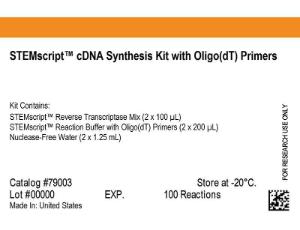 STEMscript™ cDNA Synthesis kit with Oligo(dT) Primers