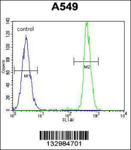 Anti-HN1 Rabbit Polyclonal Antibody (HRP (Horseradish Peroxidase))