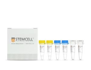 STEMscript™ cDNA Synthesis kit with Oligo(dT) Primers