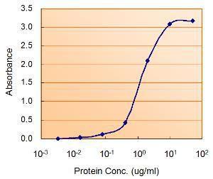 Anti-PRKAA2 Antibody (A84859) (1.5 µg/ml) as the reporter with the capture rabbit Antibody (2.5 µg/ml)