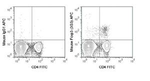 Anti-FOXP3 Mouse Monoclonal Antibody (APC (Allophycocyanin)) [clone: 3G3]