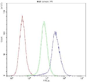 Anti-IDE Polyclonal Antibody