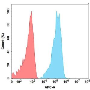 Flow cytometry analysis with Anti-CCR4 Humanized Antibody [Mogamulizumab Biosimilar] - Azide free (A318876) at 1 µg/ml on Expi293 cells transfected with Human CCR4 protein (blue histogram) or Expi293 transfected with irrelevant protein (red histogram)