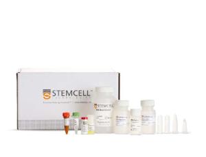 Total RNA Purification kit