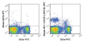 Anti-KLRB1 Mouse Monoclonal Antibody (APC (Allophycocyanin)) [clone: PK136]