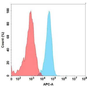 Anti-Claudin 6 Humanized antibody