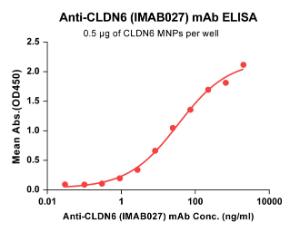 Anti-Claudin 6 Humanized antibody